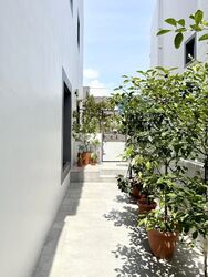 Upper Changi Road (D16), Terrace #500278171